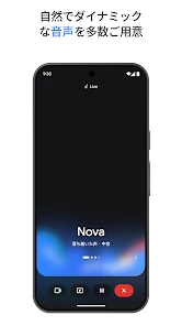 Google Gemini screenshot