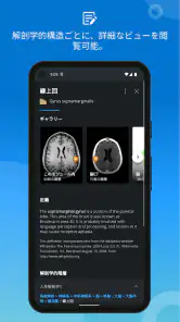 IMAIOS e-Anatomy screenshot