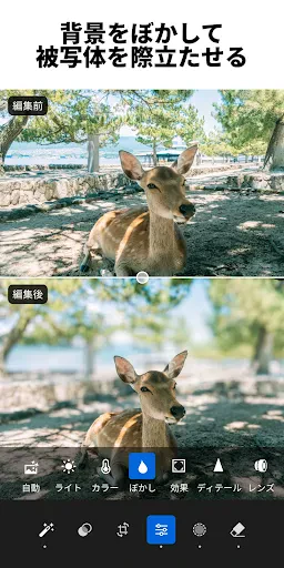 Lightroom:写真&動画エディター・写真映像編集 screenshot