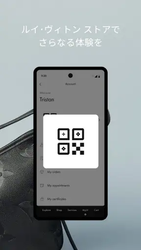 Louis Vuitton screenshot