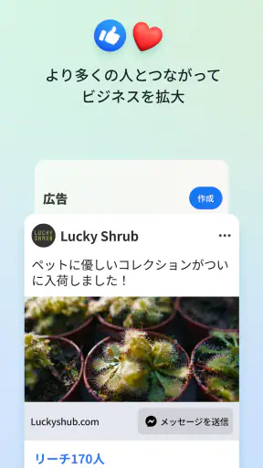 Meta Business Suite screenshot