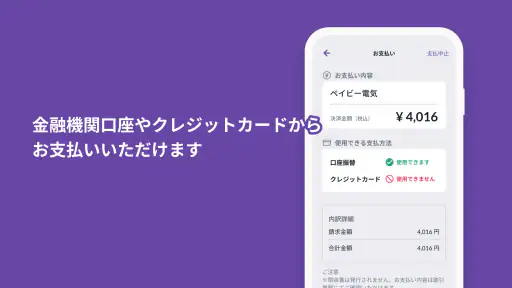 PayB screenshot
