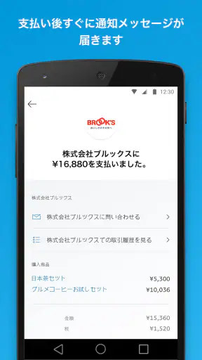 PayPal screenshot