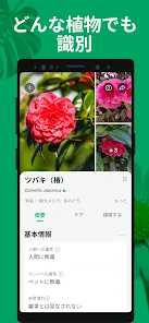 PictureThis：撮ったら、判る-1秒植物図鑑 screenshot