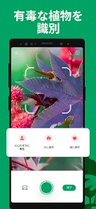 PictureThis：撮ったら、判る-1秒植物図鑑 screenshot