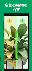 PictureThis：撮ったら、判る-1秒植物図鑑 screenshot
