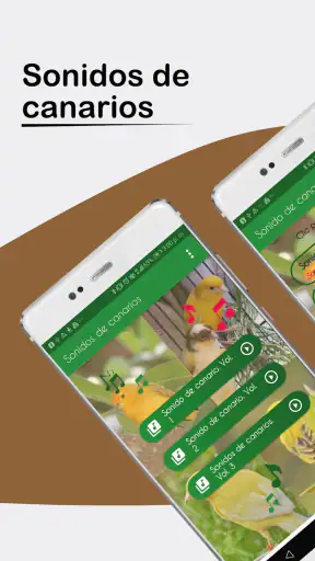 Sonidos de Canarios. Cantos. screenshot