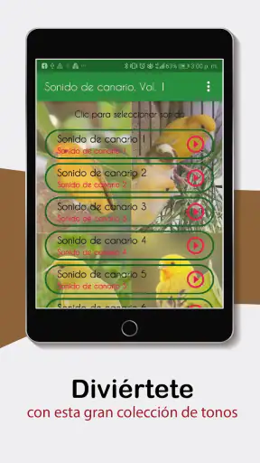 Sonidos de Canarios. Cantos. screenshot