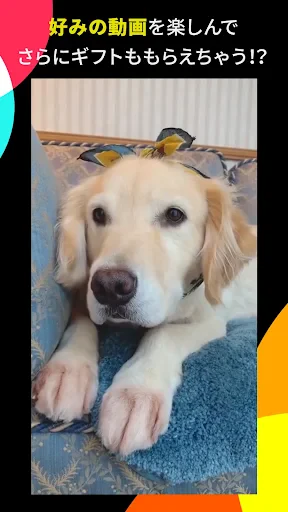 TikTok Lite ポイント!動画!うれしい!楽しい! screenshot