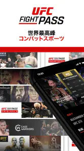 UFC screenshot
