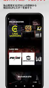 UFC screenshot
