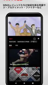 UFC screenshot
