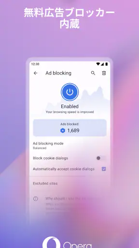 VPN を備えた Opera ブラウザ screenshot