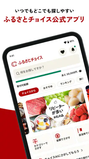 ふるさと納税ならふるさとチョイス screenshot