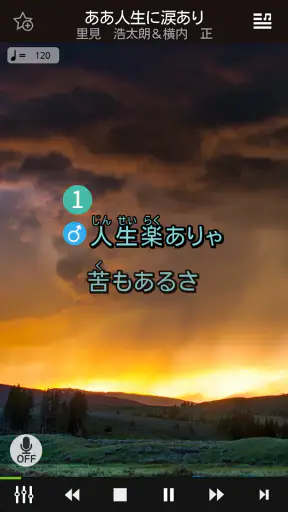 カラオケアプリ ONSTAGE オンステージ screenshot