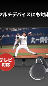 ベースボールLIVE screenshot