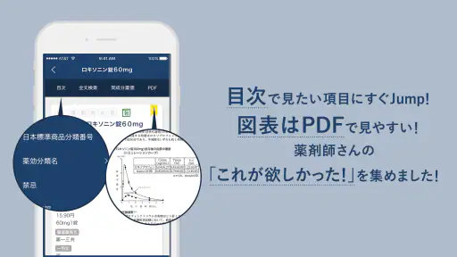 ヤクチエ添付文書 screenshot