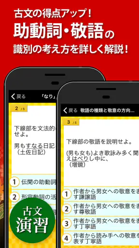 古文・漢文（古文単語、古典文法、漢文） screenshot