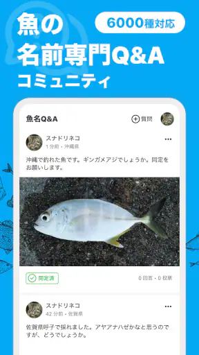 魚みっけ screenshot