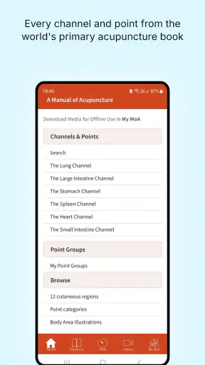 A Manual of Acupuncture 2025 screenshot