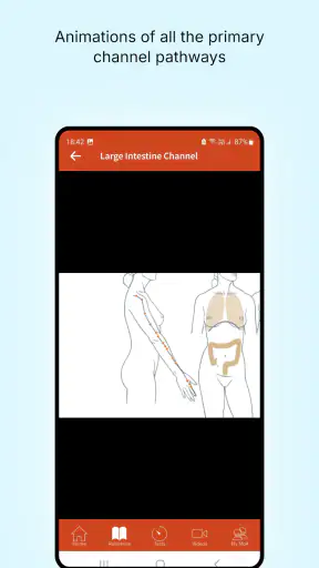 A Manual of Acupuncture 2025 screenshot