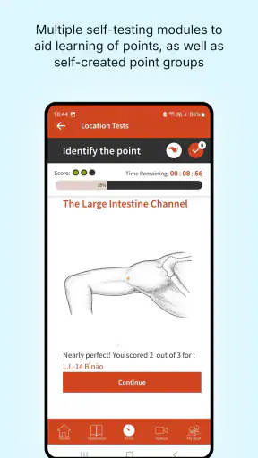 A Manual of Acupuncture 2025 screenshot