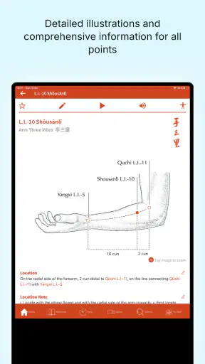 A Manual of Acupuncture 2025 screenshot