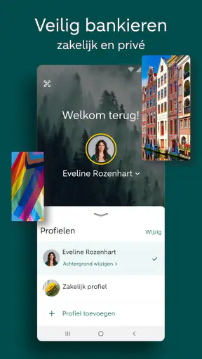 ABN AMRO screenshot