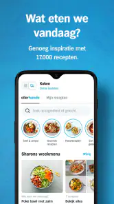 Albert Heijn supermarkt screenshot
