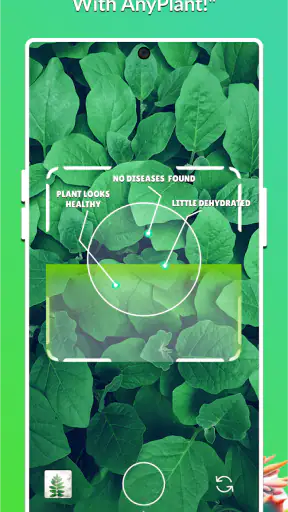 AnyPlant: AI Plant Identifier screenshot