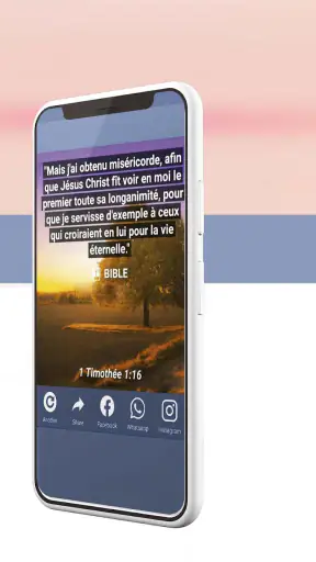 Bible King James Française screenshot
