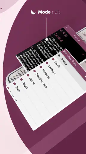 Bible Louis Segond avec audio screenshot