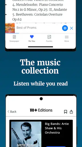 Daily Mail Newspaper screenshot