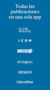 EL PAÍS screenshot