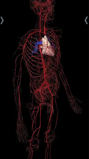 Essential Anatomy 5 screenshot