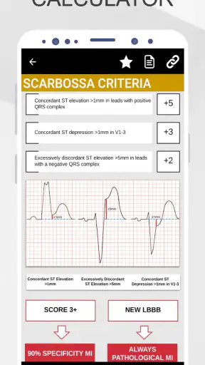 Foundation Doctor Handbook screenshot