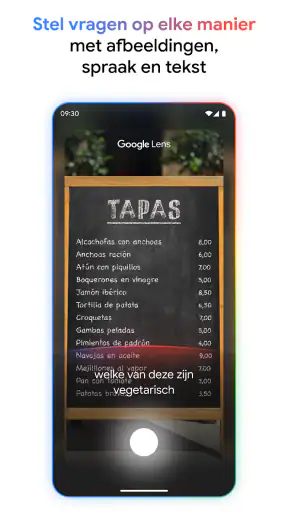 Google screenshot