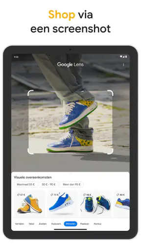 Google screenshot