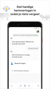 Google Assistent screenshot