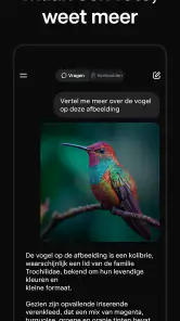 Grok: AI-assistent screenshot