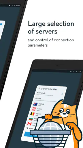 hidemy.name VPN screenshot