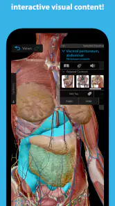 Human Anatomy Atlas 2026 screenshot