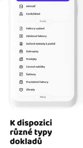 iDoklad screenshot