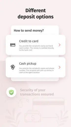 Korona Online Money Transfer screenshot