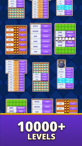 MomoLingo: Engels en meer screenshot