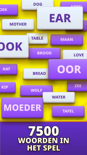 MomoLingo: Engels en meer screenshot
