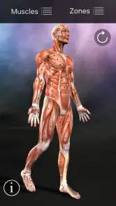 Muscle Trigger Point Anatomy screenshot