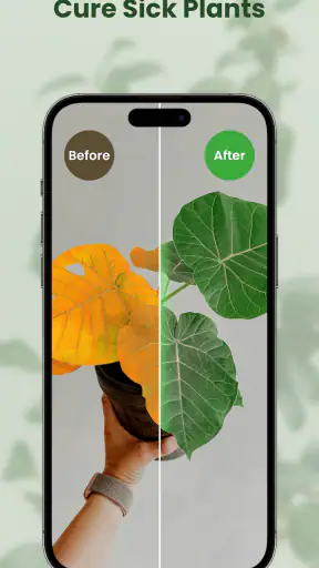 MyPlant: Identify & Care screenshot