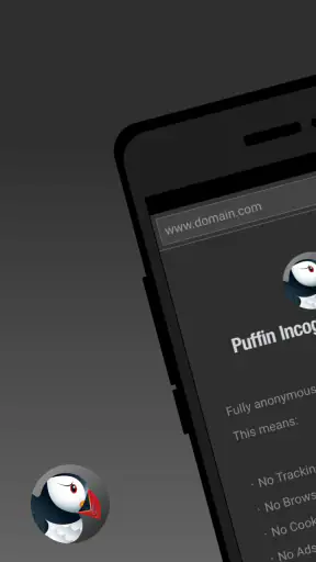 Puffin Incognito-browser screenshot