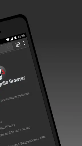 Puffin Incognito-browser screenshot